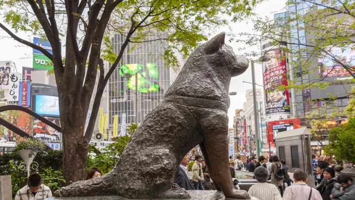 Hachiko: The world's most loyal dog turns 100