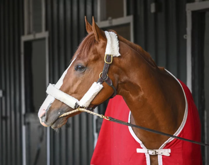 Kentucky Derby winner Mage set as 8-5 morning line favorite for Preakness