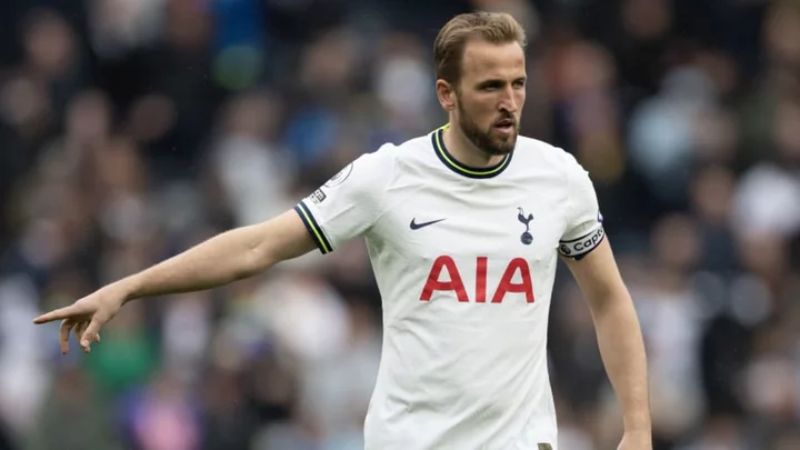 Dimitar Berbatov reveals why he expects Harry Kane to stay at Tottenham despite Man Utd interest