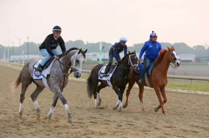 Belmont Stakes 2023 horses: Full list, post positions, odds