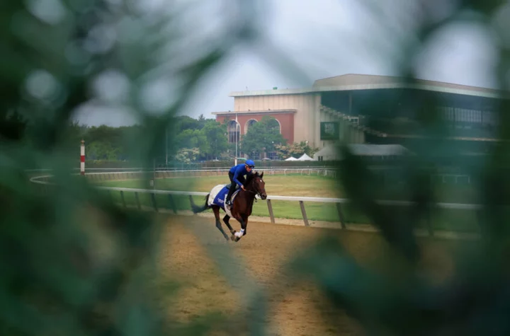 Belmont Stakes purse and payout: Full prize money breakdown