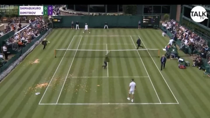 Protestors Run Onto Field During Wimbeldon Match to Throw Jigsaw Puzzle, Confetti