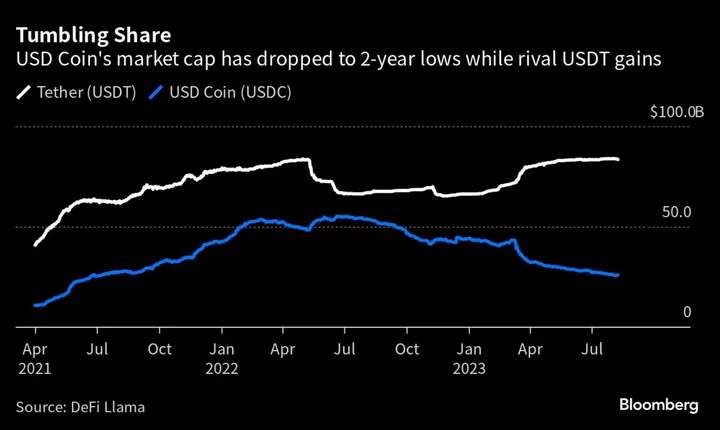 Circle Says $1 Billion in Cash Serves as Buffer While Market Share Declines