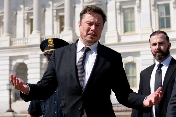 OLD Elon Musk confirms he is cutting election integrity staff from X/Twitter ahead of 2024