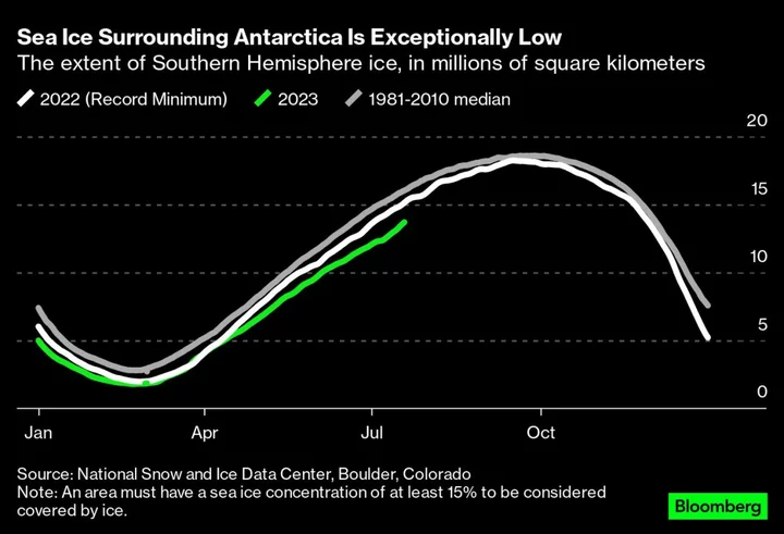 Baby Penguins Die as Record Low Antarctic Ice Stokes Extinction Risk