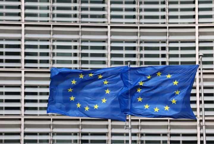 EU Commission sticks to US economist pick for senior antitrust job