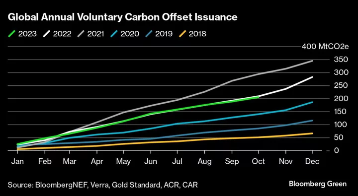 COP28 Holds Key to Global Carbon Market That Could Help Improve Offsets