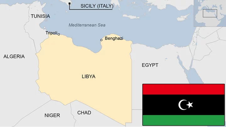 Libya country profile