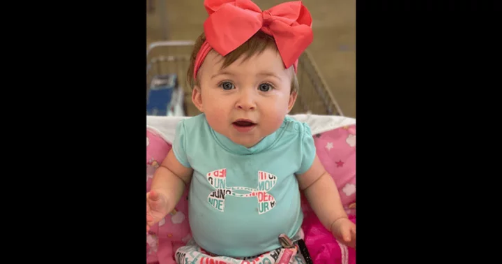 Was Harlow Freeman kidnapped? Police chief makes starling claim regarding abduction of nine-month-old baby