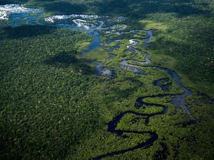 Amazon deforestation at six-year-low in Brazil after plunging 66% in July