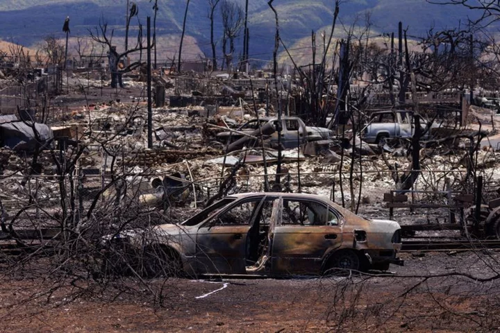 How the Hawaii wildfires spread so quickly